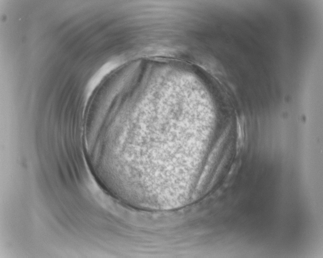 X0000055070003200508232341.png