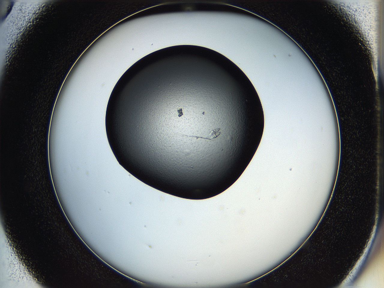 05he_D5_ImagerDefaults_7.jpg
