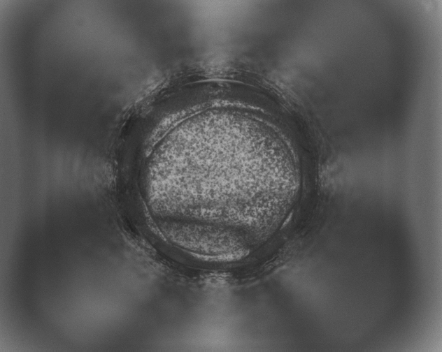 X0000038850618200410131830.png