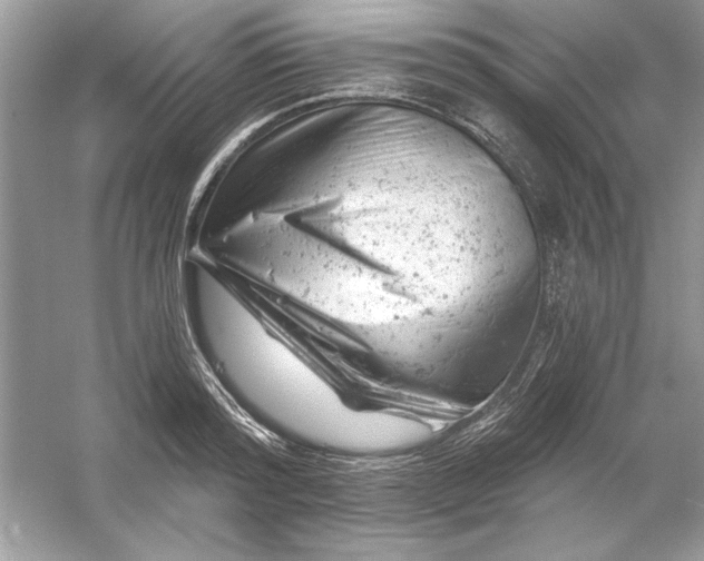 X0000054300796200508042309.png
