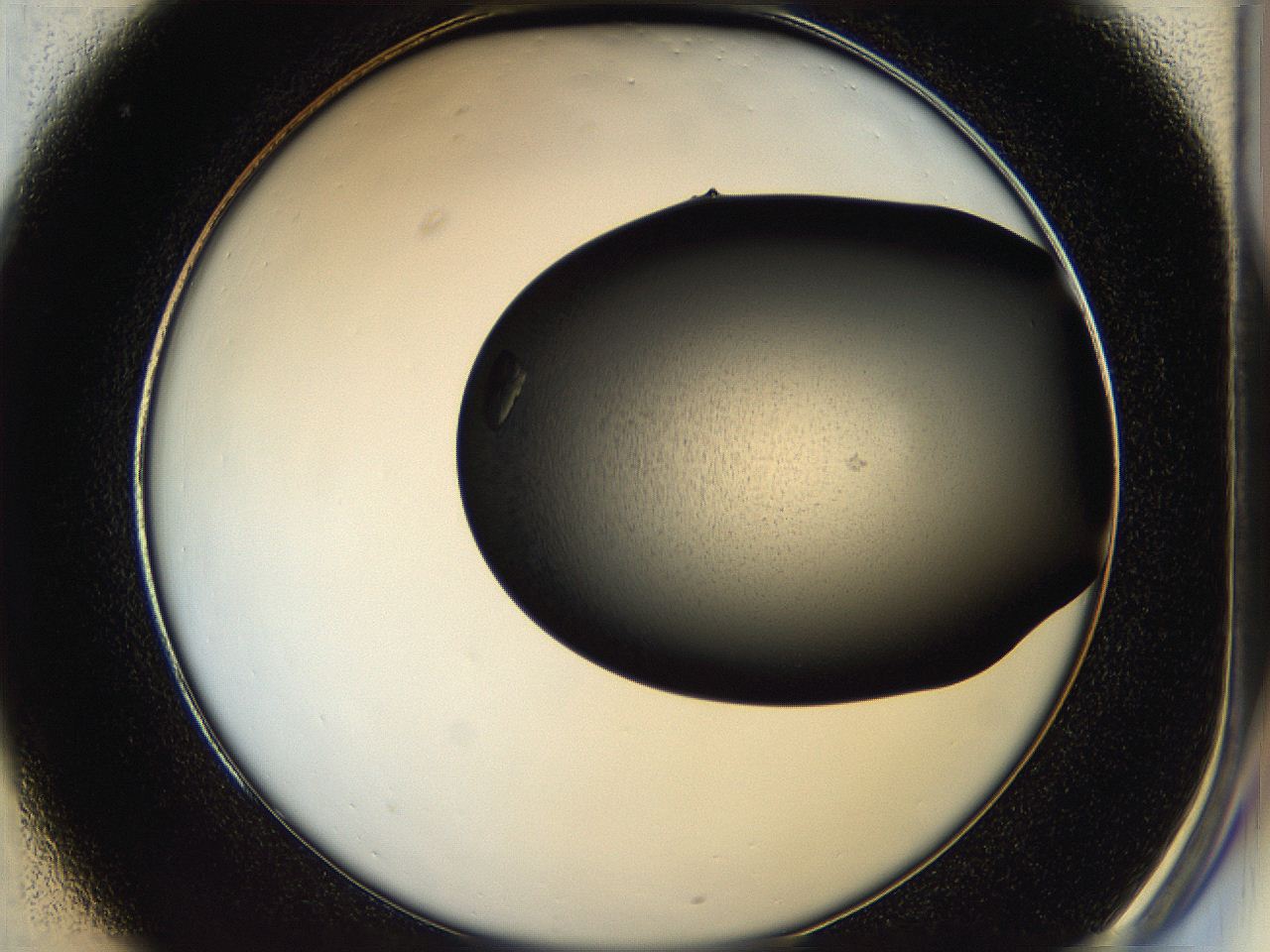 05he_C1_ImagerDefaults_7.jpg