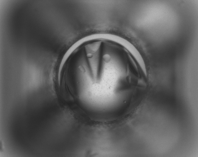 X0000040660115200411092021.png