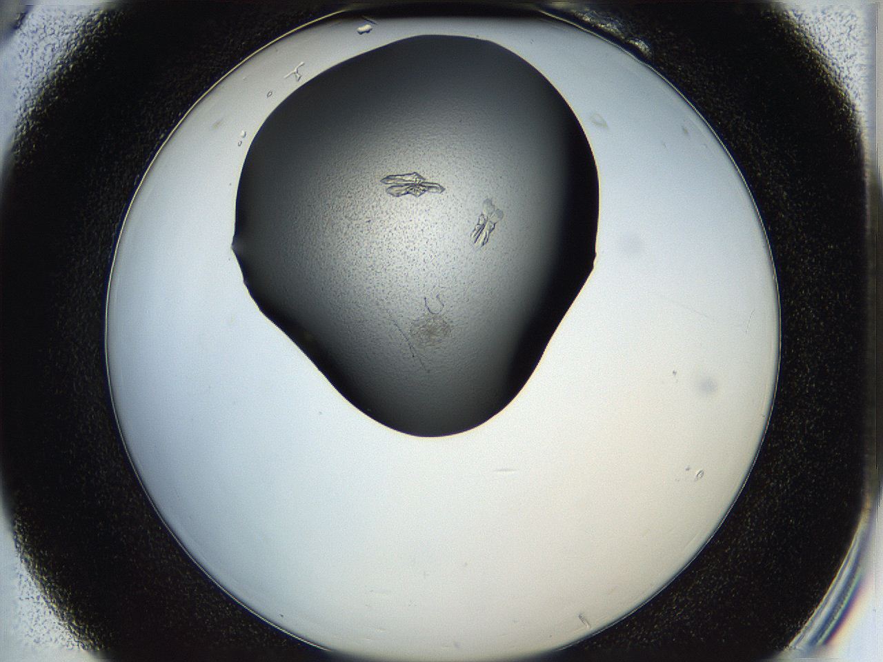 05he_B6_ImagerDefaults_7.jpg