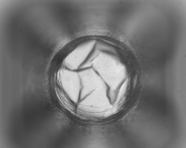 X0000048231362200504061200.png