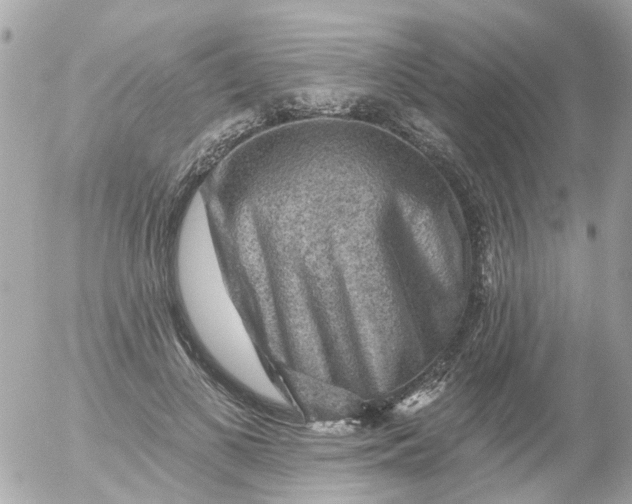 X0000055070693200508232329.png