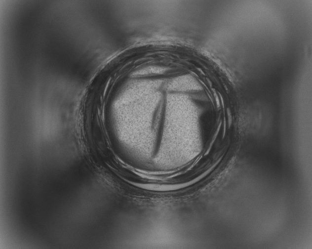 X0000045461066200502081413.png