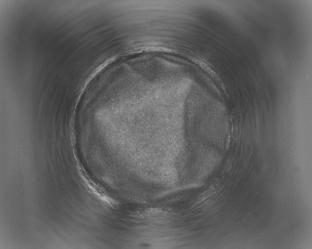 X0000055210390200508301327.png