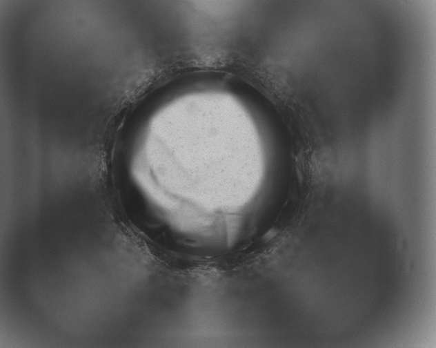 X0000040560322200411021435.png