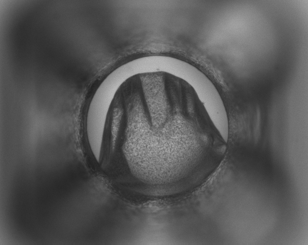 X0000045460159200502081428.png