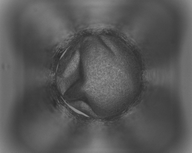X0000038850820200410131825.png