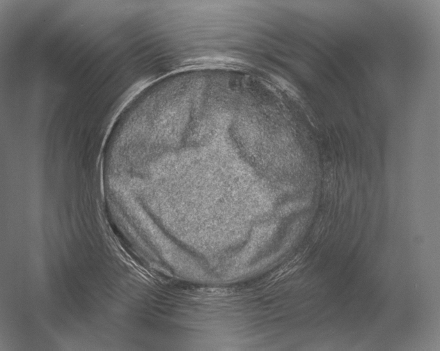 X0000055211275200508301312.png
