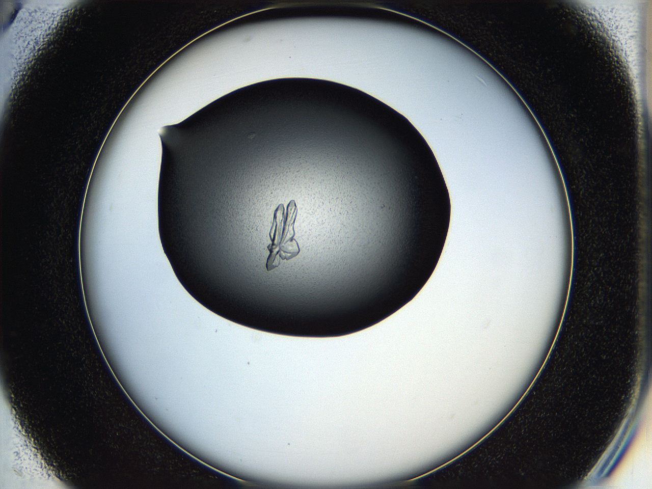05he_C5_ImagerDefaults_7.jpg