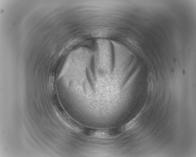 X0000055070171200508232338.png