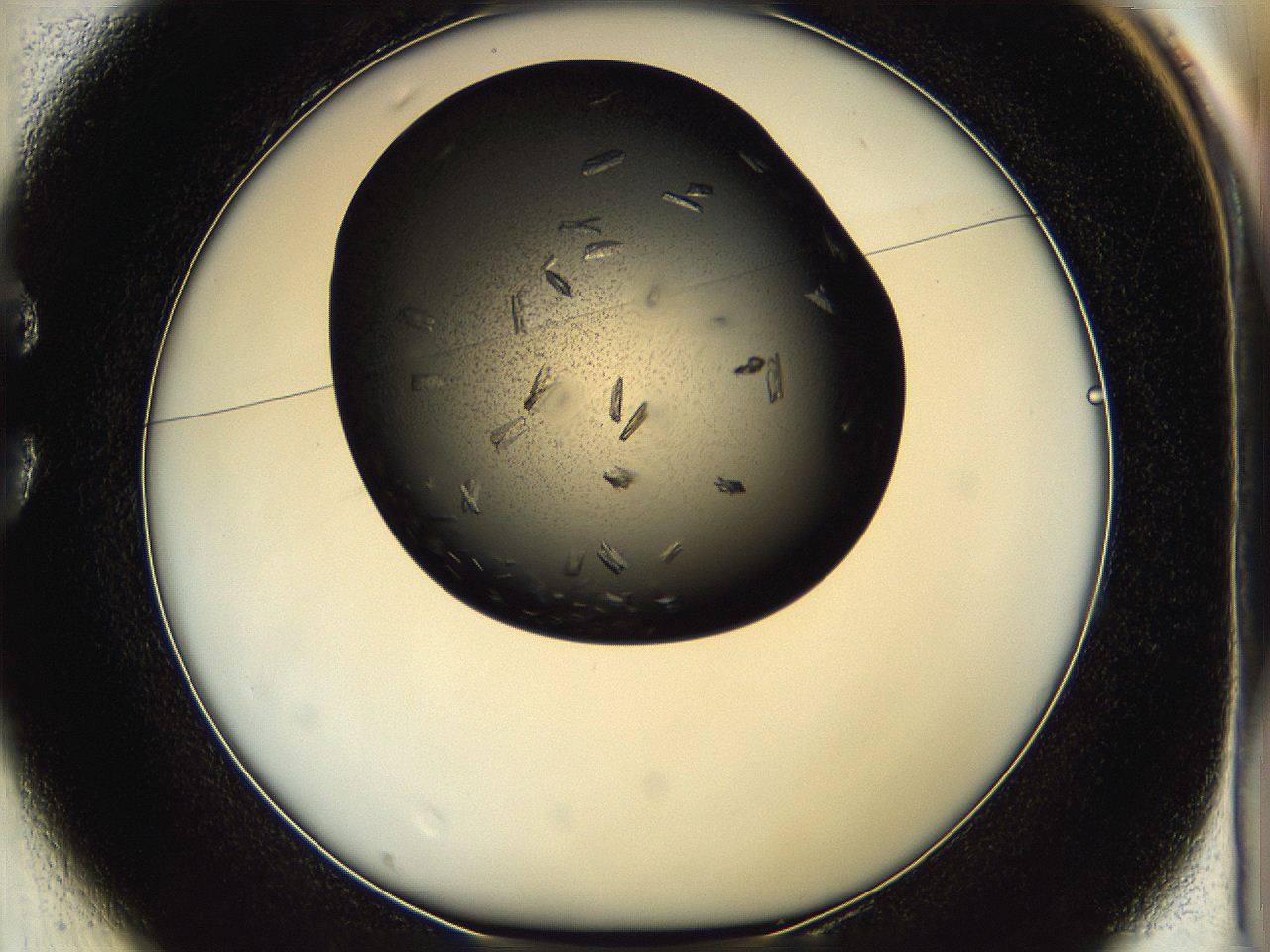 05hf_C1_ImagerDefaults_7.jpg
