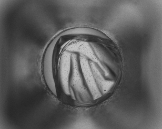 X0000047500912200503161510.png
