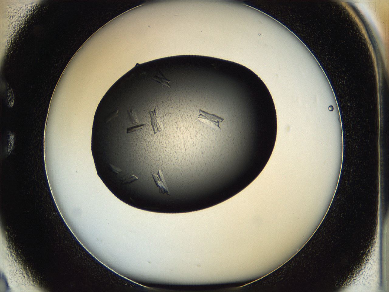 05hf_C2_ImagerDefaults_7.jpg