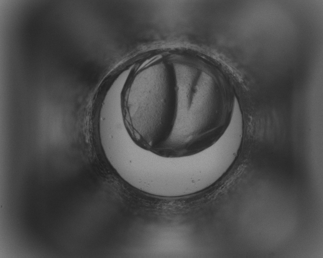 X0000044231165200501101630.png