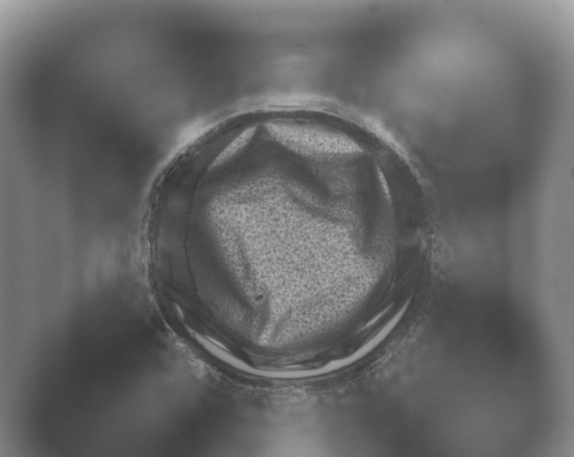 X0000048231456200504061158.png