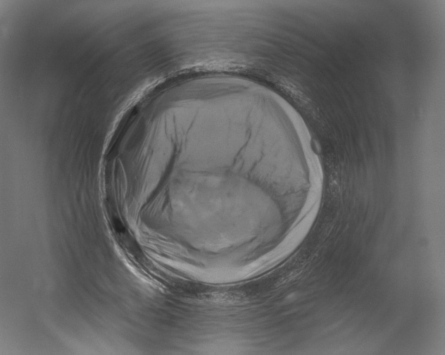 X0000055210678200508301322.png