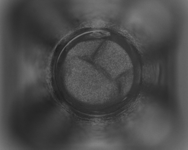 X0000044230392200501101643.png