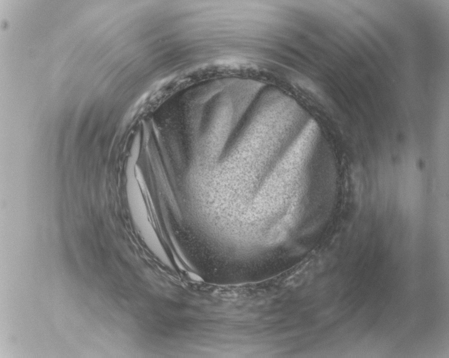 X0000055070776200508232328.png