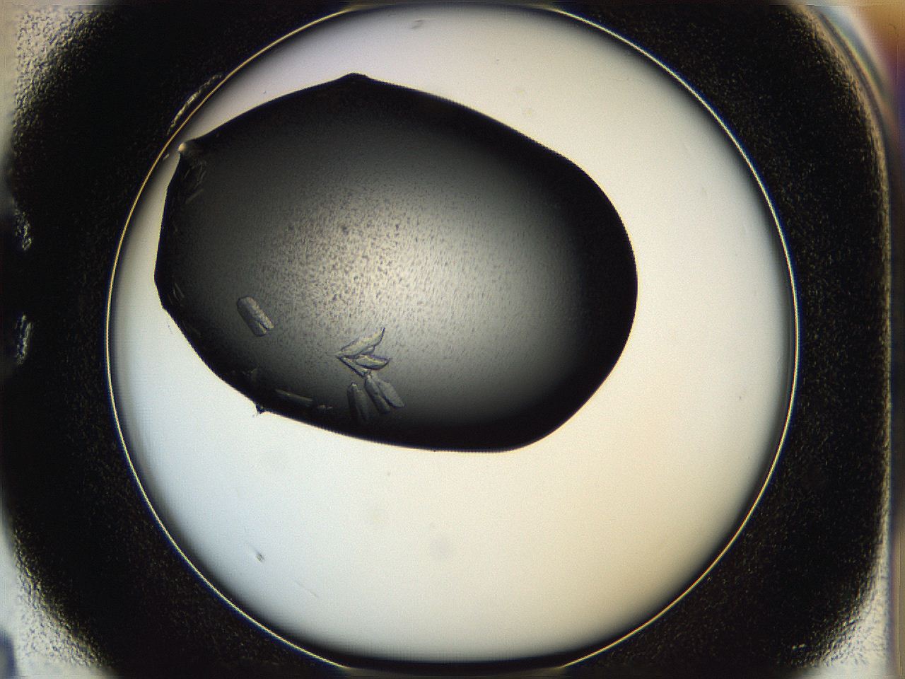 05hf_C4_ImagerDefaults_8.jpg
