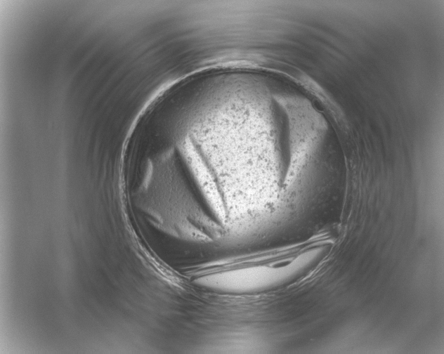 X0000054301240200508042302.png