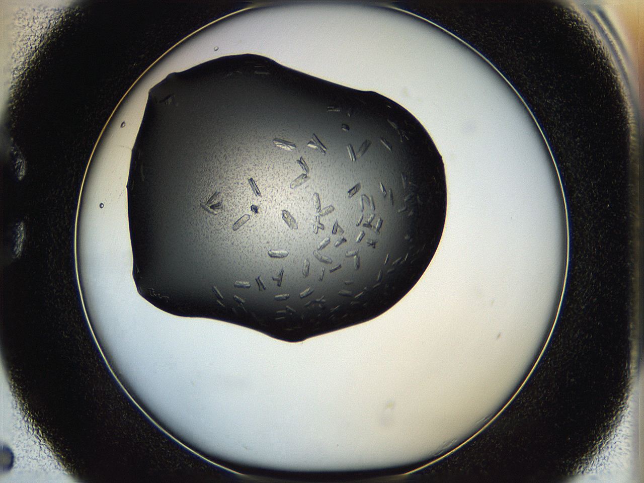 05hf_C5_ImagerDefaults_7.jpg