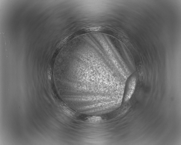 X0000054300374200508042316.png