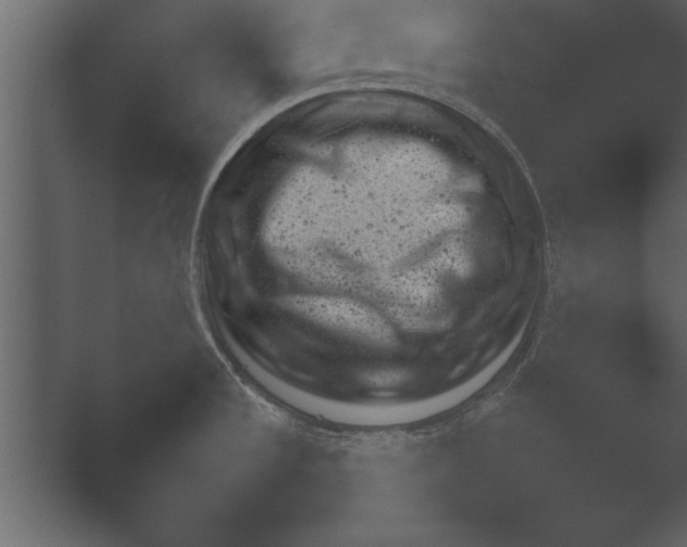 X0000052731533200507141532.png