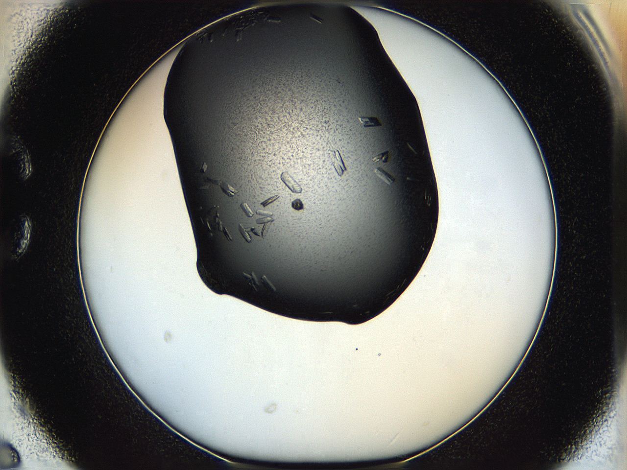 05hf_C6_ImagerDefaults_7.jpg