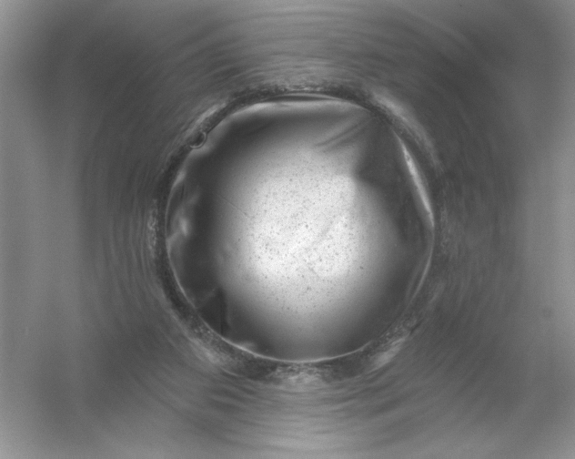 X0000054300113200508042320.png