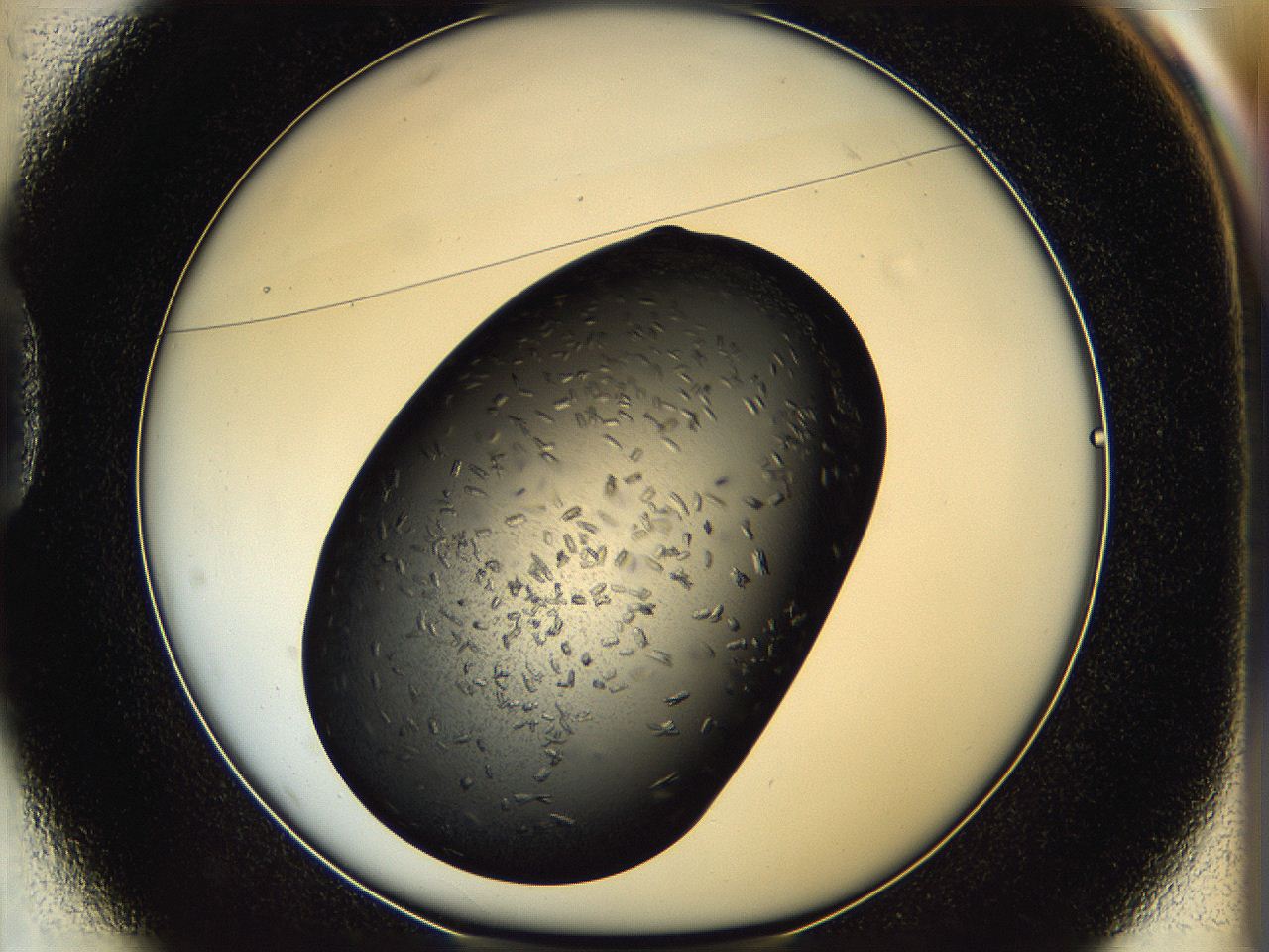 05hf_D1_ImagerDefaults_7.jpg