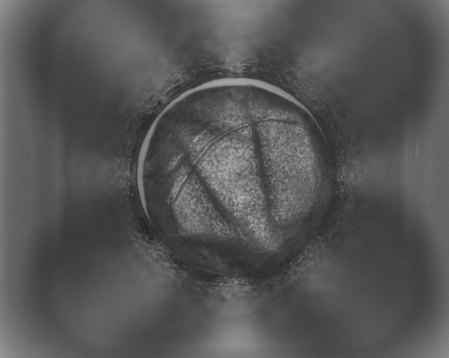 X0000038850656200410131829.png