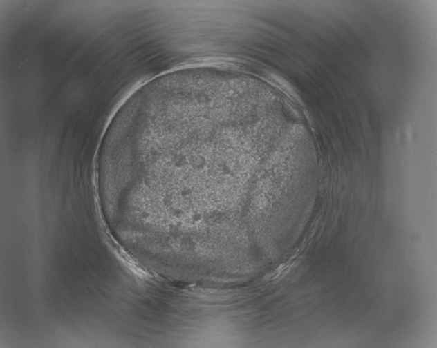 X0000055210907200508301318.png