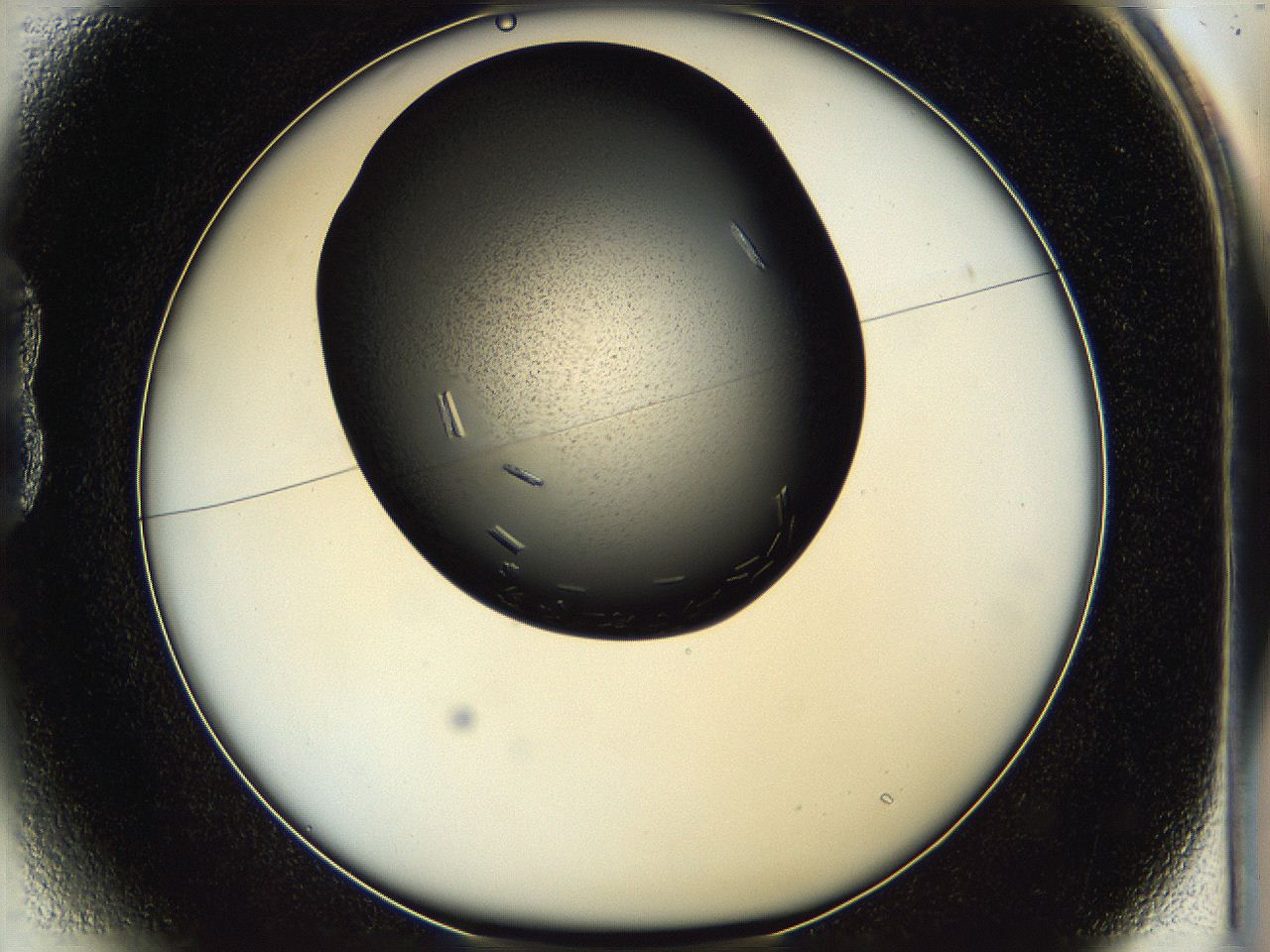 05hf_B1_ImagerDefaults_8.jpg