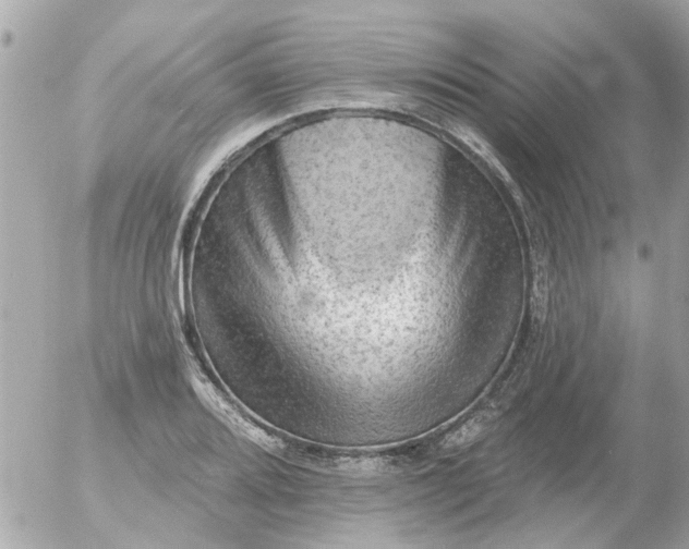 X0000055071080200508232323.png