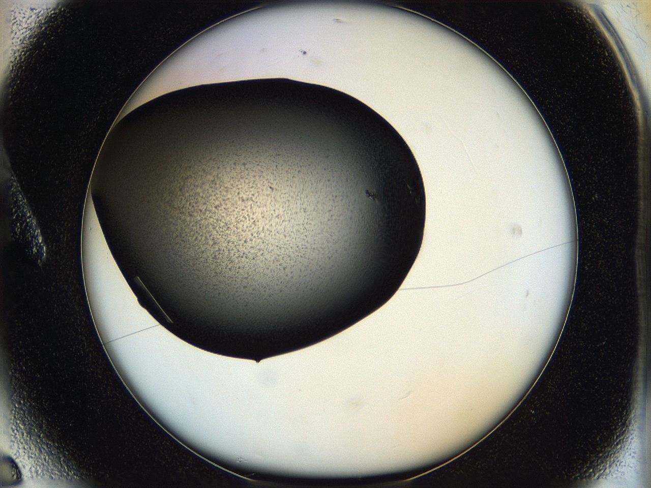 05hf_A6_ImagerDefaults_9.jpg