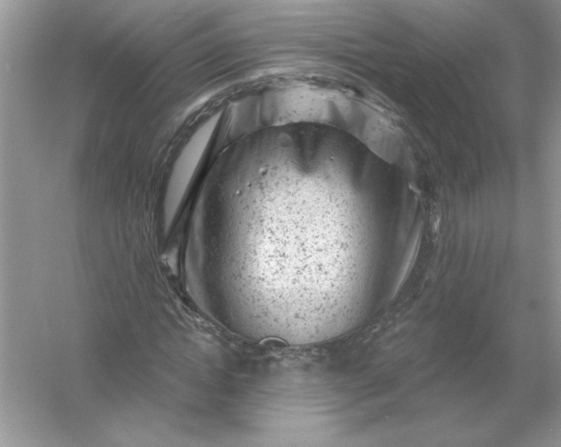 X0000054300822200508042308.png