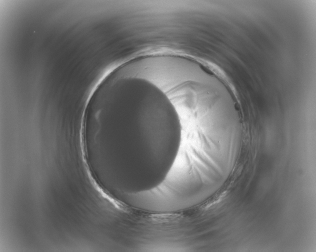 X0000054350863200508190126.png
