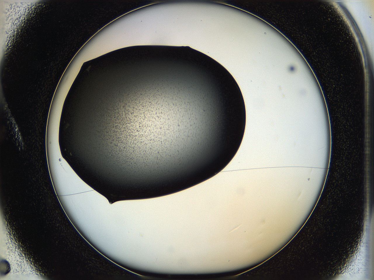 05hf_A5_ImagerDefaults_7.jpg