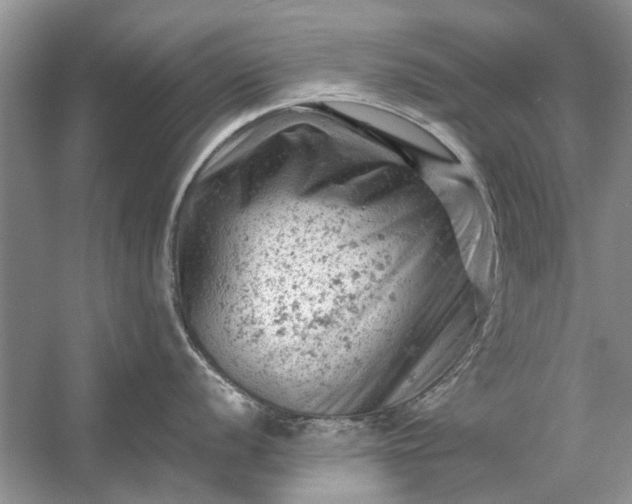 X0000054301056200508042305.png