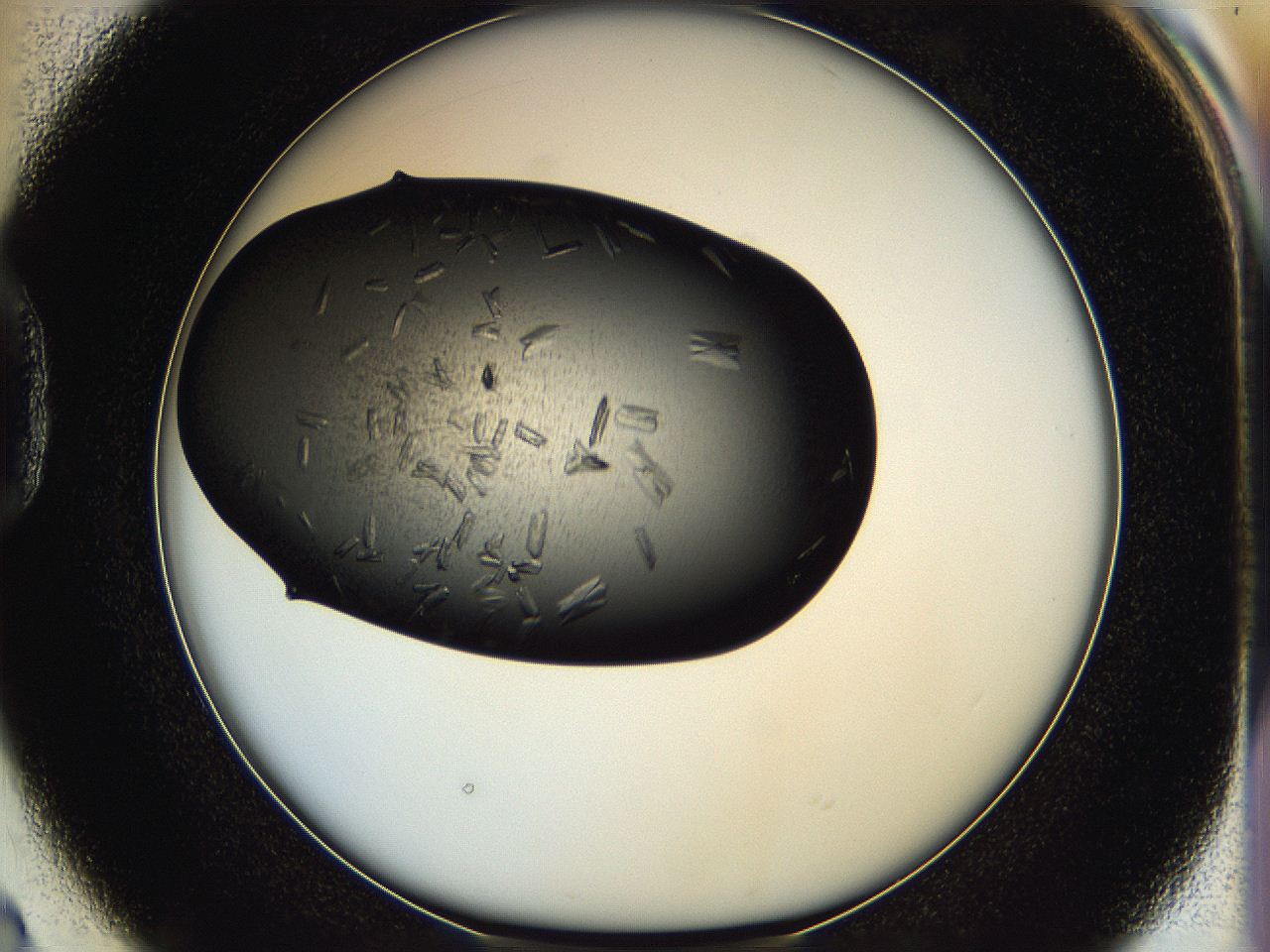 05hf_D2_ImagerDefaults_7.jpg