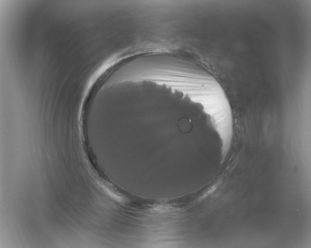X0000054350246200508190135.png