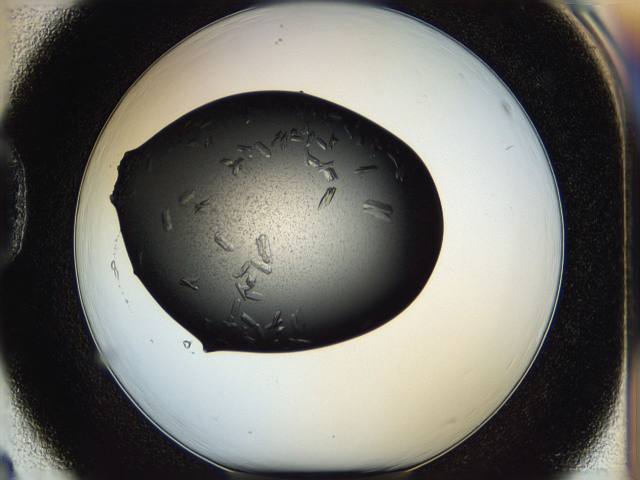 05hf_D3_ImagerDefaults_7.jpg