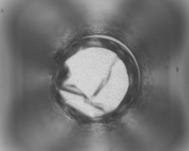 X0000052120465200507262056.png