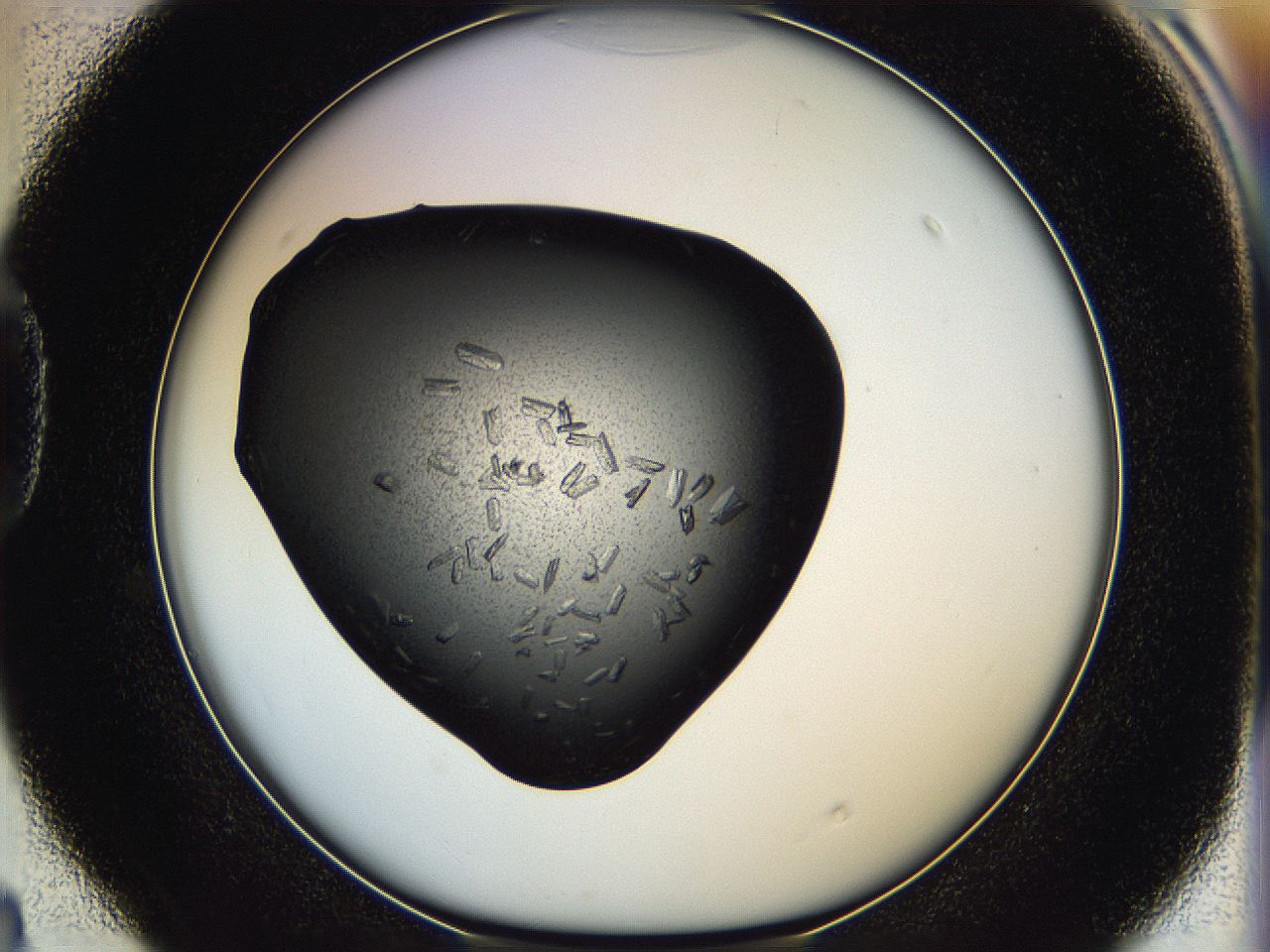 05hf_D4_ImagerDefaults_7.jpg
