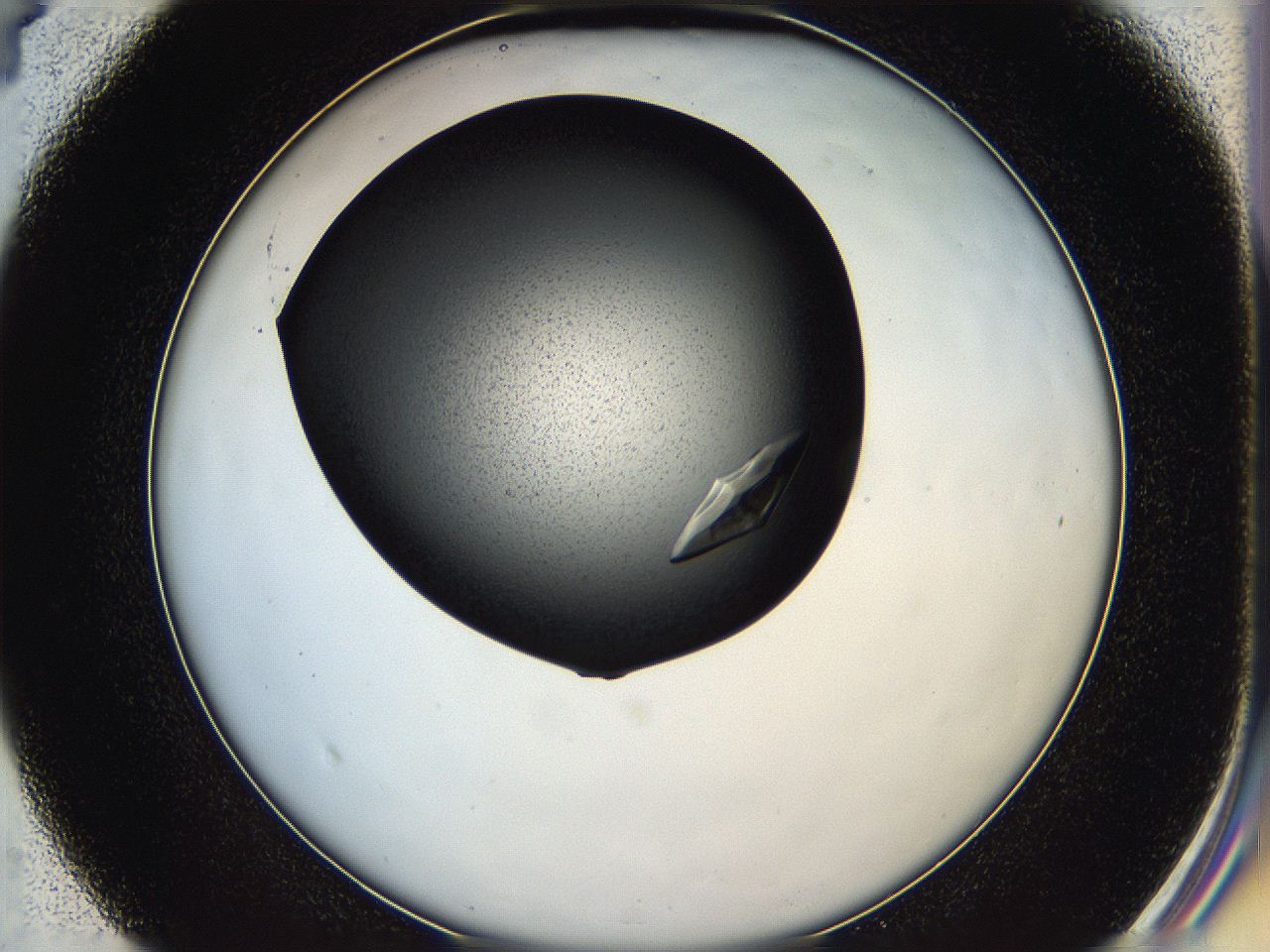 05hf_D4_ImagerDefaults_9.jpg