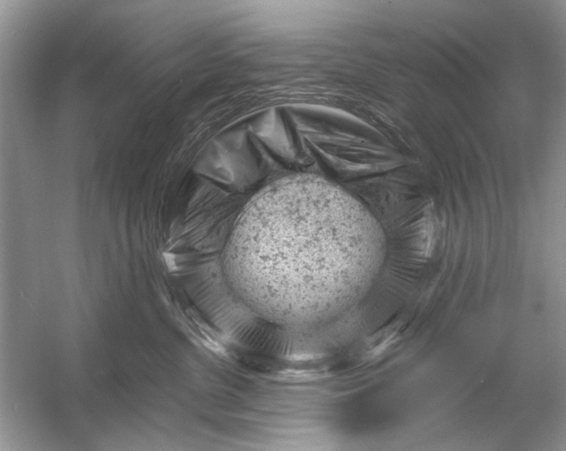 X0000054300380200508042316.png