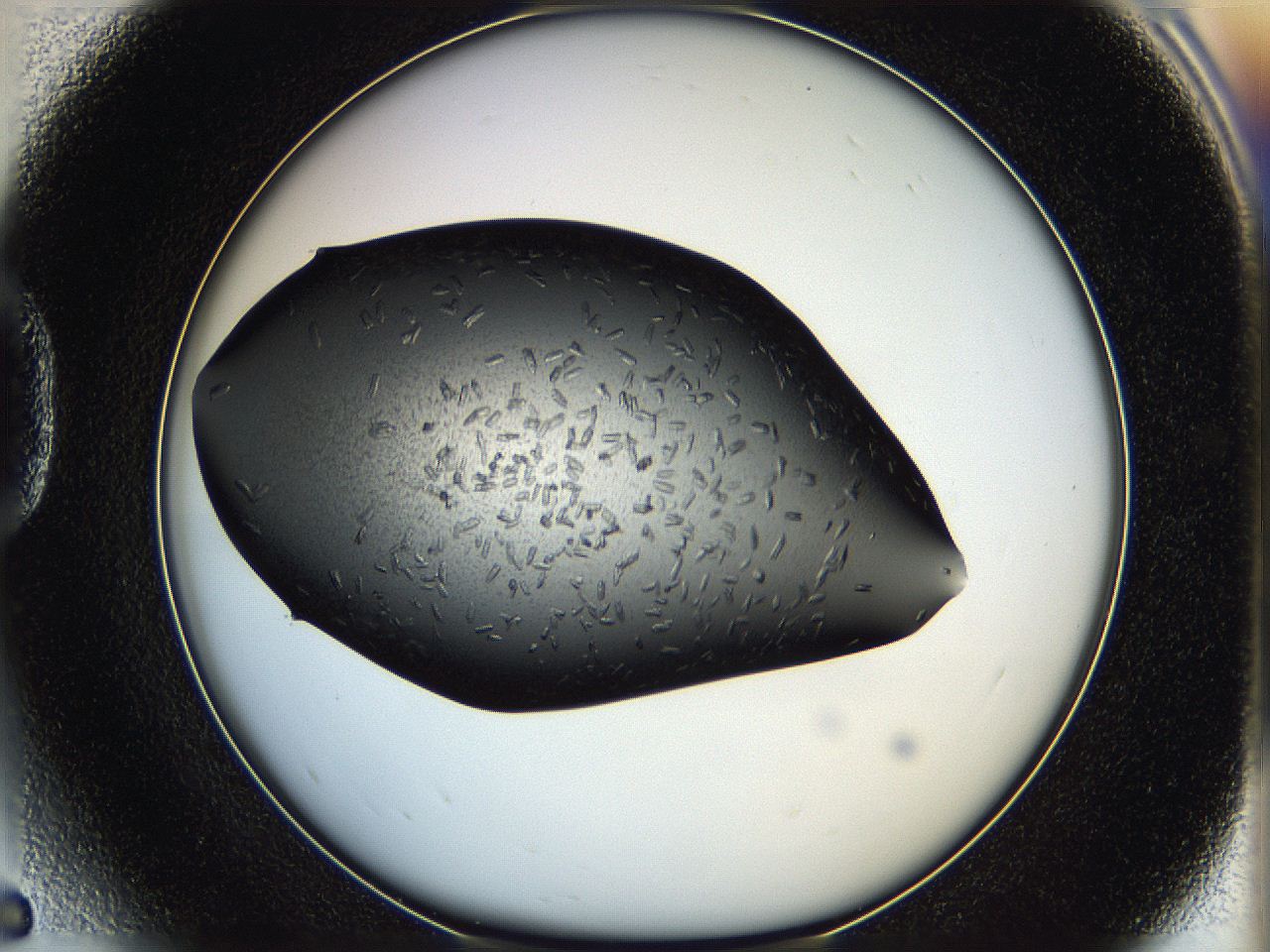 05hf_D5_ImagerDefaults_7.jpg
